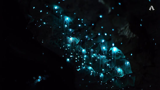 Gazing At Glowworms In New Zealand - Tourism New Zealand